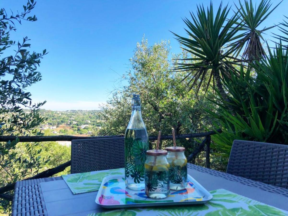 Relax E Belvedere Apartment Fasano
